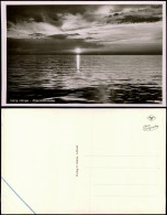 Ansichtskarte Hallig Hooge Abendstimmung Am Meer - Fotokarte 1938 - Autres & Non Classés