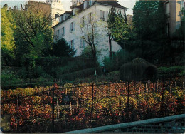 Vignes - Paris - Les Vignes De Montmartre - CPM - Voir Scans Recto-Verso - Weinberge
