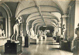 59 - Lille - Le Musée - Statues - Mention Photographie Véritable - Carte Dentelée - CPSM Grand Format - Voir Scans Recto - Lille