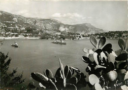 06 - Villefranche Sur Mer - La Rade, Au Loin La Tête De Chien - Carte Dentelée - CPSM Grand Format - Voir Scans Recto-Ve - Villefranche-sur-Mer