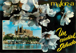 Espagne - Espana - Islas Baleares - Palma De Mallorca - La Cathédrale - Fleurs - CPM - Voir Scans Recto-Verso - Palma De Mallorca