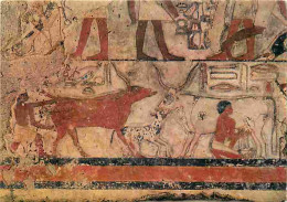 Art - Antiquités - Paris - Musée Du Louvre - Antiquités Egyptiennes - Scènes D'élevage - Traite Et Délivrance - Tombe Du - Antigüedad