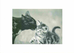 Animaux - Chats - CPM - Voir Scans Recto-Verso - Gatos