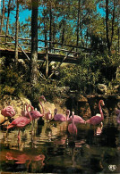 Oiseaux - Flamants Roses - Les Mathes - Zoo De La Palmyre - Flamingos - CPM - Voir Scans Recto-Verso - Birds