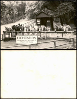 Ansichtskarte Eisenach ESELSTATION RITT ZUR WARTBURG 1950 - Eisenach