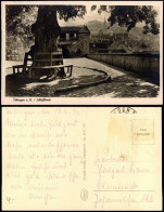 Ansichtskarte Tübingen Blick Von Der Schloßlinde Auf Die Stadt 1943 - Tübingen