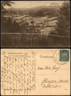 Großholzleute-Isny Panorama-Ansicht Blick Zur Schletter-Alm 1925 - Autres & Non Classés