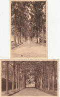 Loenhout, Dreef, 2 Postkaarten, 4 Scans - Sonstige & Ohne Zuordnung