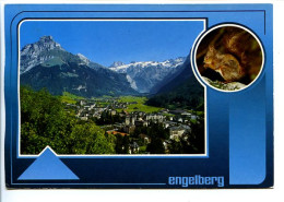 CPSM /CPM 10.5 X 15 Suisse Canton D'Obwald  ENGELBERG 1050 - 3200 Mit Hahnen 2606 M Und Spannörter 3198 M   écureuil - Engelberg