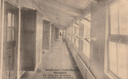 Sanatorium Lizzie, Westmalle, Een Gang Met De Kassen, Corridor , 2 Scans - Other & Unclassified