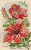 Thèmes > Fleurs Illustrateur Eudes Hibiscus Souvenir Publicité Chocolat Louis Aquarelle - Blumen