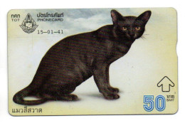 Chat Cat Animal  Carte Thaïlande Card (K 335) - Thailand