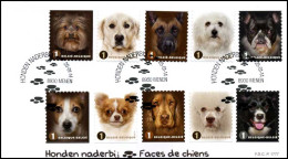 4383/92 - FDC - Honden Naderbij P1777 - 2011-2014