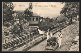 AK Madeira, Elevador E Carro Do Monte  - Autres & Non Classés