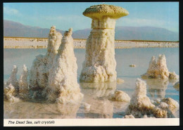CPSM / CPM 10.5 X 15  Israël (139) The Dead Sea, Salt Crystals La Mer Morte Forme Cristalline De Sel - Israel