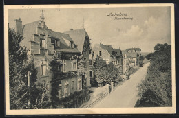 AK Hachenburg, Villen Am Alexanderring  - Hachenburg