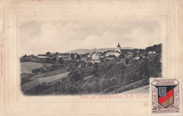 AK - (NÖ) Gruss Aus HOCHNEUKIRCHEN - Panorama - Vignette Deutscher Schulverein 1906 - Wiener Neustadt