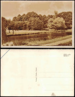 Ansichtskarte Timmendorfer Strand Stadtpark 1952 - Altri & Non Classificati