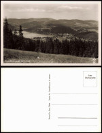 Ansichtskarte Titisee Blick Auf Stadt Und See 1940 - Otros & Sin Clasificación