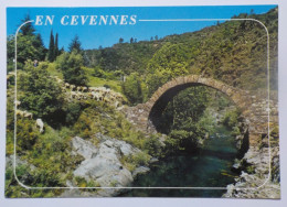 LES CEVENNES (Dept 30-48-34-12-07)  9 Cartes A 0.20 Euros L'une - Sonstige & Ohne Zuordnung