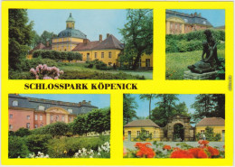 Ansichtskarte Köpenick Berlin Schlosspark Köpenick 1979 - Köpenick