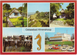 Ahrenshoop Häuschen Am Boddendeich, Hohes Ufer, Kunstkaten, Hafen Mit   1984 - Autres & Non Classés