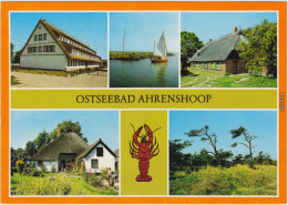 Ahrenshoop  Nienhagen - Betriebsferienheim "Boddenblick" Althagen Hafen,  1984 - Autres & Non Classés