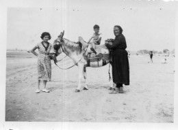 Photographie Photo Vintage Snapshot Plage Beach Mode âne Donkey - Places