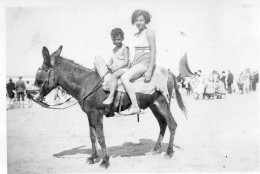 Photographie Photo Vintage Snapshot Plage Beach Mode âne Donkey - Other & Unclassified