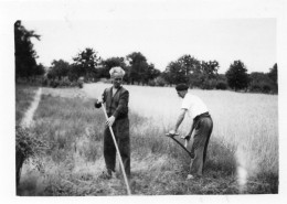 Photographie Photo Vintage Snapshot Faux Moisson Paysan - Profesiones