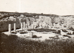 Photographie Photo Vintage Snapshot Tunisie Carthage Villa Romaine - Africa