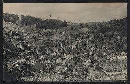 Foto-AK Calw, In D. Mitte Am Berg Die Neue Handelsschule 1920  - Calw