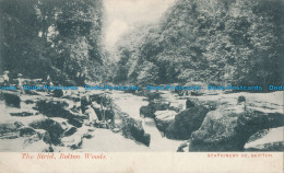 R027286 The Strid. Bolton Woods. Stationery Co. 1905 - World