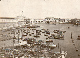 Photographie Photo Vintage Snapshot Algérie Alger Port - Afrique