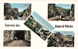 ALGERIE - Souvenir Des Gorges De Palestro - Colorisé - Carte Postale - Autres & Non Classés