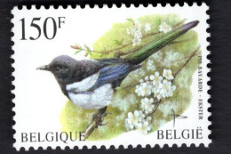 2023876928 1997 SCOTT 1645 OCB 2697  (XX) POSTFRIS MINT NEVER HINGED  - FAUNA - BIRDS - EKSTER - PIE BAVARDE - BUZIN - Neufs