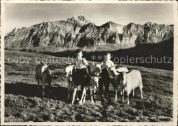 11674055 Herisau AR Auf Der Hochalp Kinder Ziegen Blick Zum Saentis Appenzeller  - Sonstige & Ohne Zuordnung