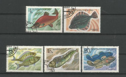 Russia 1983 Fish Y.T. 5017/5021 (0) - Used Stamps