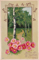 FANTAISIE(CARTE GAUFREE) FLEUR - Sint Catharina