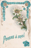 FANTAISIE(CARTE GAUFREE) FLEUR - Santa Caterina