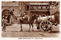 P-24-Mi-Is-608 :  CAMEL WATER CART NO 1 ADEN. - Jemen