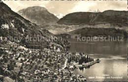 11673434 Gersau Vierwaldstaettersee Vierwaldstaettersee Frohnalp Kaiserstock Ger - Autres & Non Classés