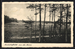 AK Senne, Blick über Die Landschaft  - Andere & Zonder Classificatie