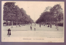 86 - CHATELLERAULT - PROMENADES SUD - ANIMÉE  - - Chatellerault