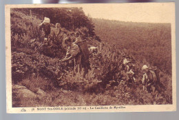 68 - MONT SAINT-ODILE - LA CUEILLETE DE MYRTILLES - ANIMÉE - - Altri & Non Classificati