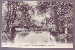 41 - LAMOTTE-BEUVRON - PATURAGE AU BORD DU BEUVRON - ANIMÉE  - - Lamotte Beuvron