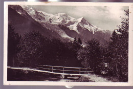 74 - CHAMONIX - L'ARVE ET LE MONT-BLANC - - Chamonix-Mont-Blanc