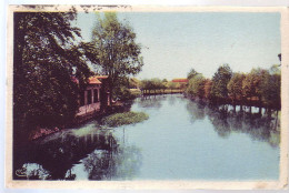 18 - MEHUN-sur-YEVRE - BORDS DE L'YEVRE - COLORISÉE - - Mehun-sur-Yèvre