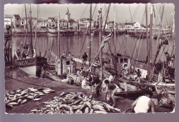 85 - SABLES-D'OLONNE - LE PORT - DEBARQUEMENT DE THONS - ANIMÉE - - Sables D'Olonne