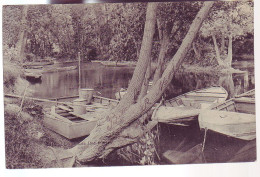 77 - CHELLES - LES ILES MORTES - BATEAUX LAVOIRS - - Chelles